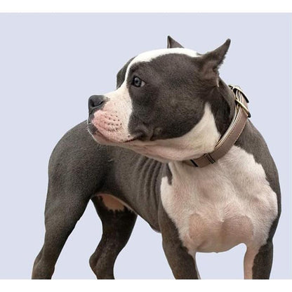 猫 小型犬 ペットグッズ 犬 2重ロック 痛くない 首輪 中型犬 レザー マイクロファイバー ドッグ ペット