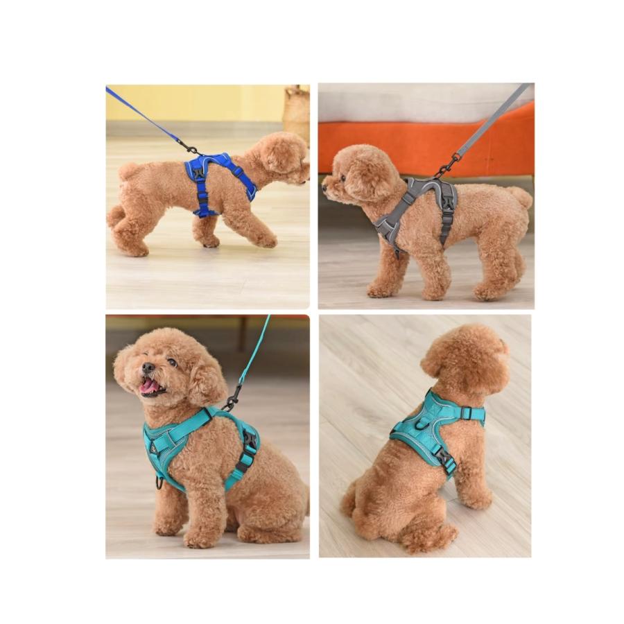 新商品プロモーション，数量限定 犬 犬ハーネス ハーネス リード付き 犬用 猫用 ペット しゃれ 脱げない かわいい 小型 中型 大型 メッシュ 胴輪 散歩 簡単装着 軽量 春 夏 秋 冬 かわいい