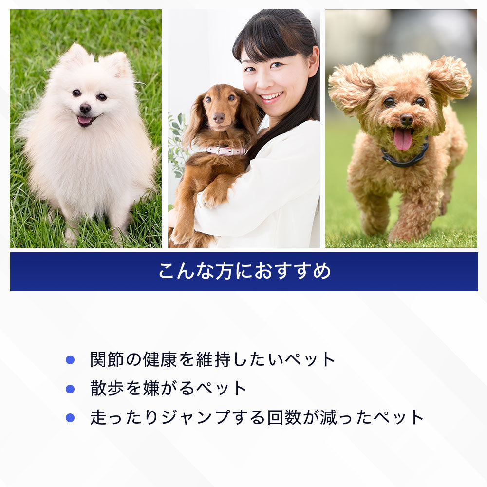 <a href="https://www.qoo10.jp/gmkt.inc/Search/brand.aspx?brandno=128060" target="_blank" class="title_brand" id="btn_brand" title="Suntory Wellness">Suntory Wellness</a>サントリー 公式 Pet Health (ペットヘルス) グルコサミン プラス 動物用栄養補助食品 60粒入/約10～30日分