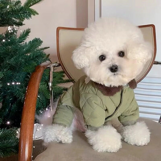2025秋冬新作 ペット服 犬の服 犬猫服 テディビーベア ヨークシャー 小中型犬 服 快適 ペット用品 犬用品 散歩 防寒 秋冬服