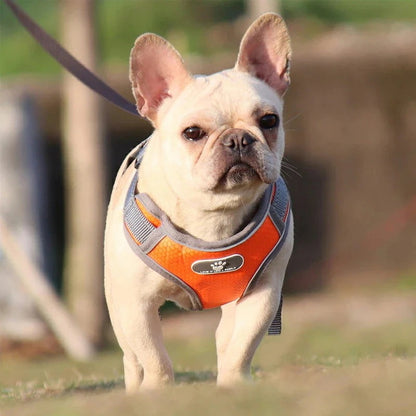 沸騰新柄追加 犬 ハーネス 犬ハーネス 胴輪 犬用ハーネス 犬のハーネス おしゃれ かわいい リード 子犬 小型犬 中型犬 脱げない リードセット 簡単装着 快適 アジャスquma
