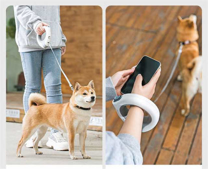 リード 犬用リード 軽量 長い 3m ライト付き 充電式 typeC 便利 小型犬 中型犬 夜間 光る