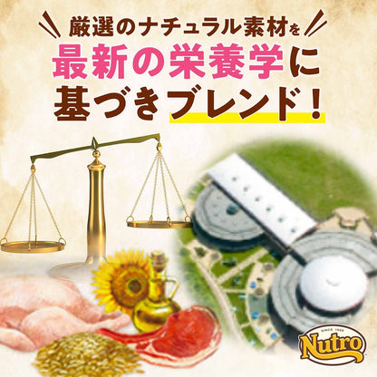 <a href="https://www.qoo10.jp/gmkt.inc/Search/brand.aspx?brandno=56178" target="_blank" class="title_brand" id="btn_brand" title="ナチュラルチョイス">ナチュラルチョイス</a>ニュートロ　超小型犬用　エイジングケア　チキン＆玄米　４ｋｇ　プレミアムチキン　お一人様５点限り　ＣＲＣ45―02―53―20―00