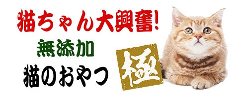 チェック柄 かわいい 犬首輪 子犬 小型犬首輪 猫首輪 犬の首輪 チェック 子猫 猫首輪 子犬 中型犬 犬 首輪 リボン 小型犬 犬用 おしゃれ 猫の首輪 鈴付き 猫 鈴