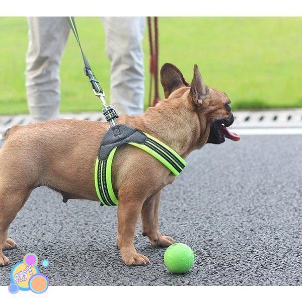 ハーネス 犬 おしゃれ 小型犬 大型犬 中型犬 犬のハーネスリード 脱げない 発光バンド 散歩 首輪 ペット用品