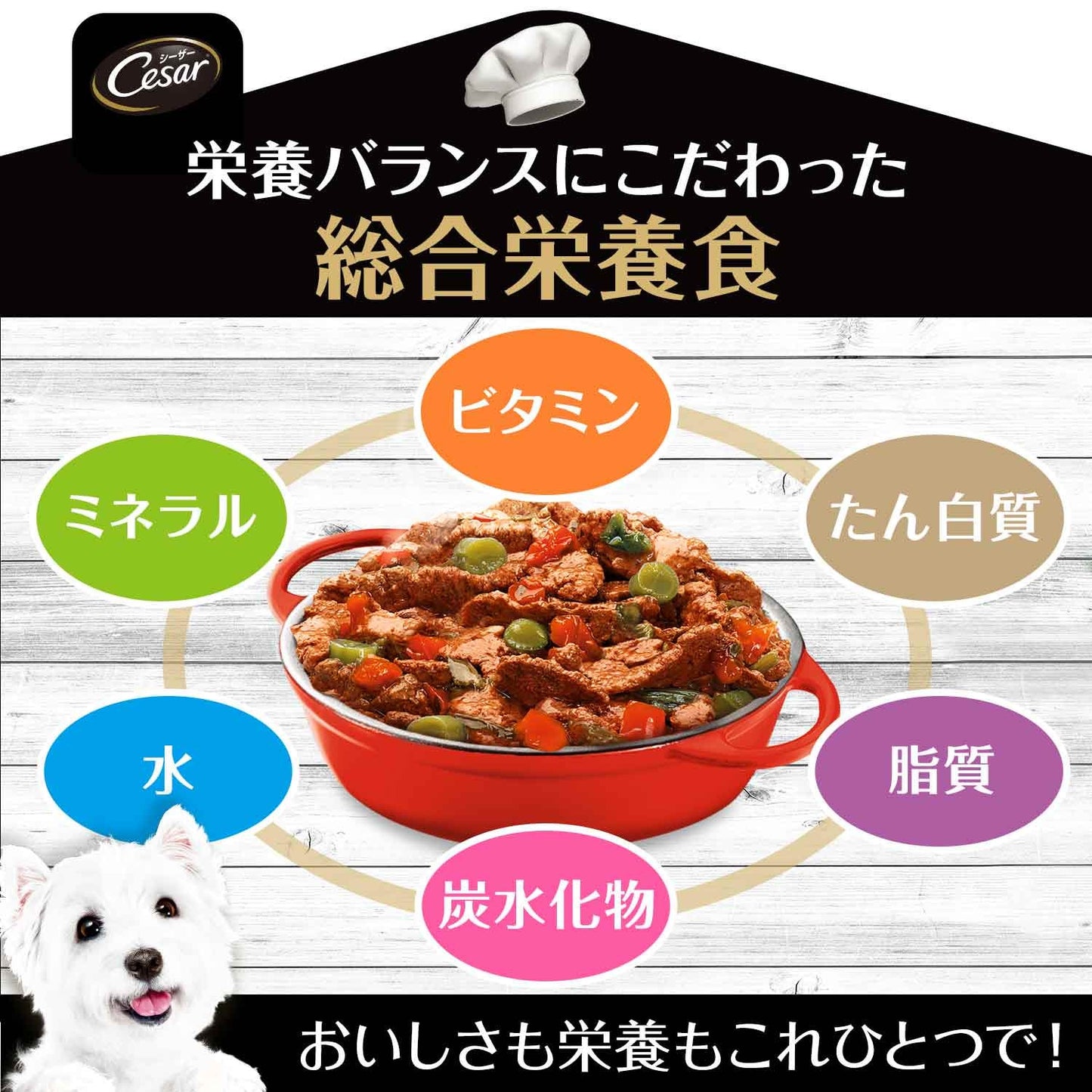 シーザー　おうちレシピ　やわらかチキン　チーズ＆野菜入り　１００ｇ　ドッグフード　ＣＲＣ45―08―45―20―00