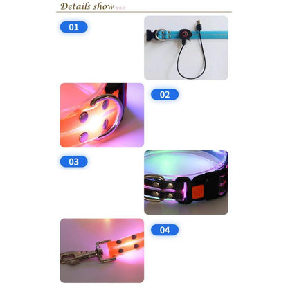 [送&料無料]リード LEDライト式リード LED 光る 首輪 ライト付き カラフル 夜間 USB 充電式 充電式 散歩 犬 発光 幅2.3cm 小型犬 点滅 犬用リード LEDライト式リード
