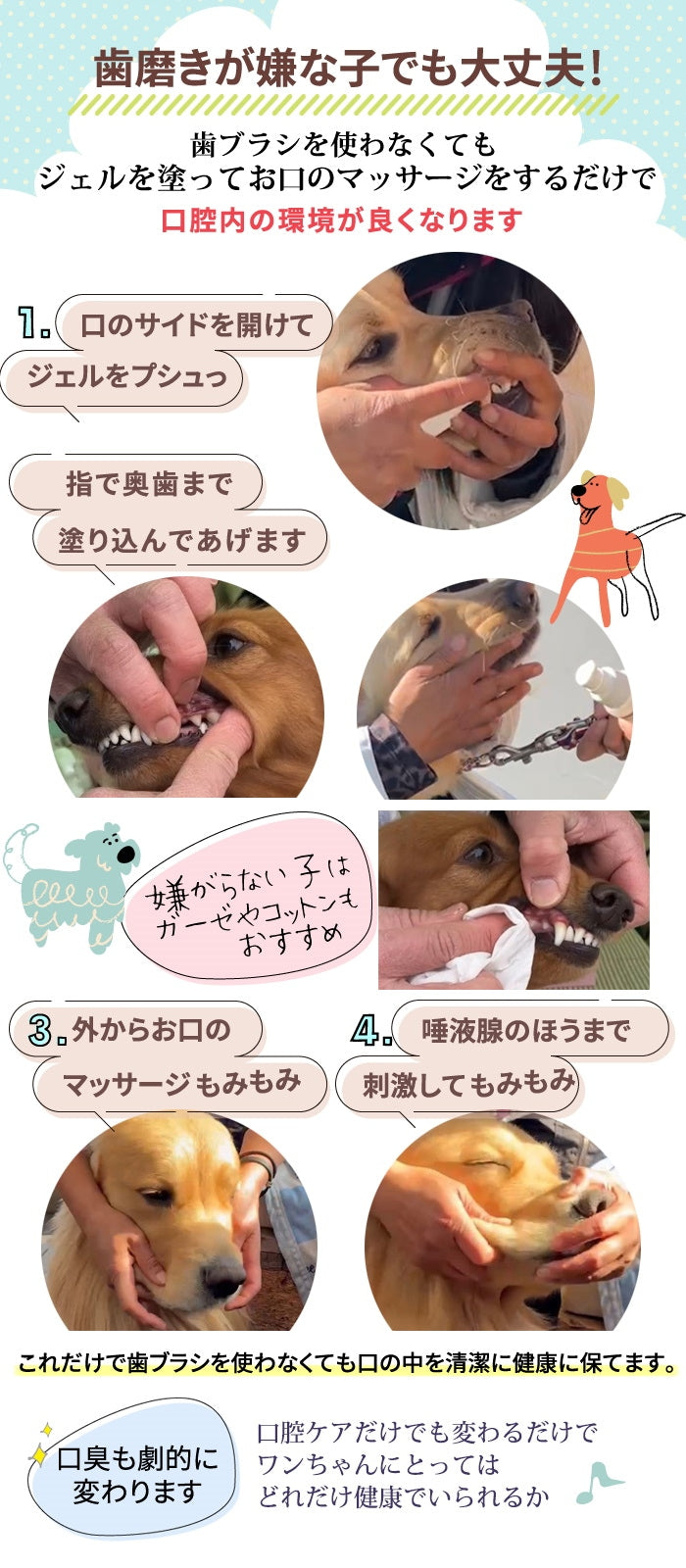 獣医推薦愛犬愛猫の歯垢歯石歯周病が塗るダケでツルツルな歯に！安心安全な100％天然由来！歯磨ジェル　ピュアツルデンタル60m