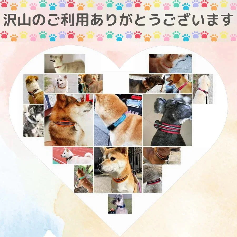工ガ割-犬 首輪 メッシュ 軽い 軽量 頑丈 反射 夜 蛍光 目立つ 小型犬 中型犬 大型犬 猫 可愛い おしゃれ カラフル ペット ソフト 通気性 春 夏 秋 冬 年中