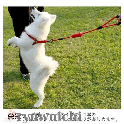 犬用 リード 2匹 犬 二頭引きリード ダブルリード 多頭飼い 小型犬 中型犬 大型犬 犬 2頭引き いぬ ドッグ用 お散歩グッズ お出かけ ペット用