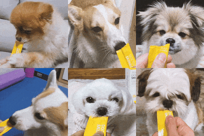 <a href="https://www.qoo10.jp/gmkt.inc/Search/brand.aspx?brandno=120824" target="_blank" class="title_brand" id="btn_brand" title="ドクターバイ">ドクターバイ</a>[公式] スキン＆コート 犬 皮膚 サプリメント 毛 保湿 皮膚炎 痒み止め 指間炎 日本特許成分「AF-343」 30本 (240g)