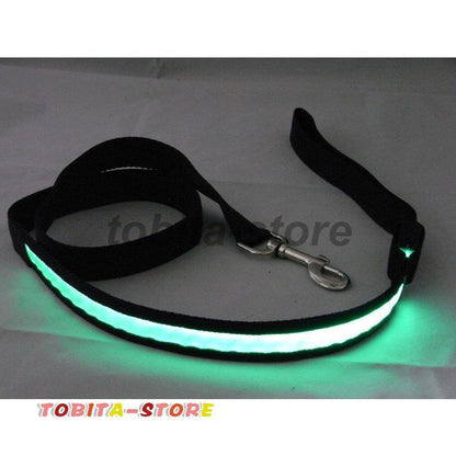 リード 牽引紐 散歩紐 光る LEDライト ペット用品 犬用 猫 電池式 お散歩グッズ 夜の散歩 夜道 夜間 安全対策 イヌ ドッグ