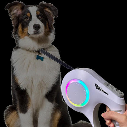 大型犬 伸縮リード 6m LED ライト付き 雰囲気ライト USB 充電式 犬 リード 伸縮 光る 犬用 中型犬 小型犬 ドッグリード タッチパネル ワンタッチ Type-C 充電 大容量電池 長時間