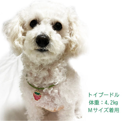 オーダーメイド 首輪 犬 おしゃれ 中型犬 小型犬 本革 かわいい 犬首輪 犬の首輪　猫用首輪