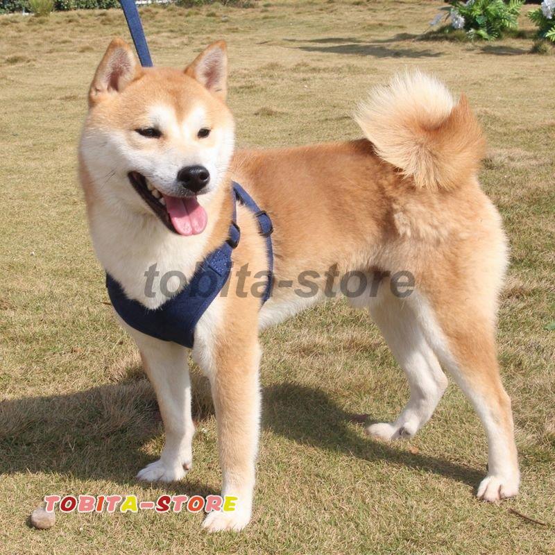 ハーネスリード 首輪 胴輪 犬用 小型犬 中型犬 大型犬 2点セット サイズ調節可能 シンプル 装着しやすい 反射テープ ペット用品 お散歩 散歩紐