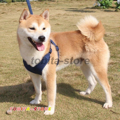 ハーネスリード 首輪 胴輪 犬用 小型犬 中型犬 大型犬 2点セット サイズ調節可能 シンプル 装着しやすい 反射テープ ペット用品 お散歩 散歩紐