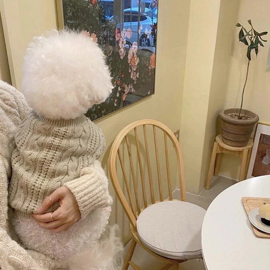 ペット服 犬の服 犬猫服 セーター テディ 小中型犬 服 快適 ペット用品 犬用品 暖か