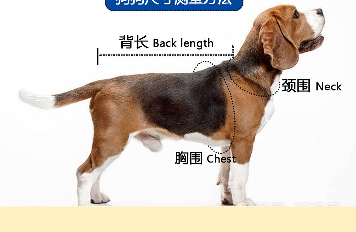 人気ペットマッキントッシュ透明犬マッキントッシュ防水防風ペット服大型犬