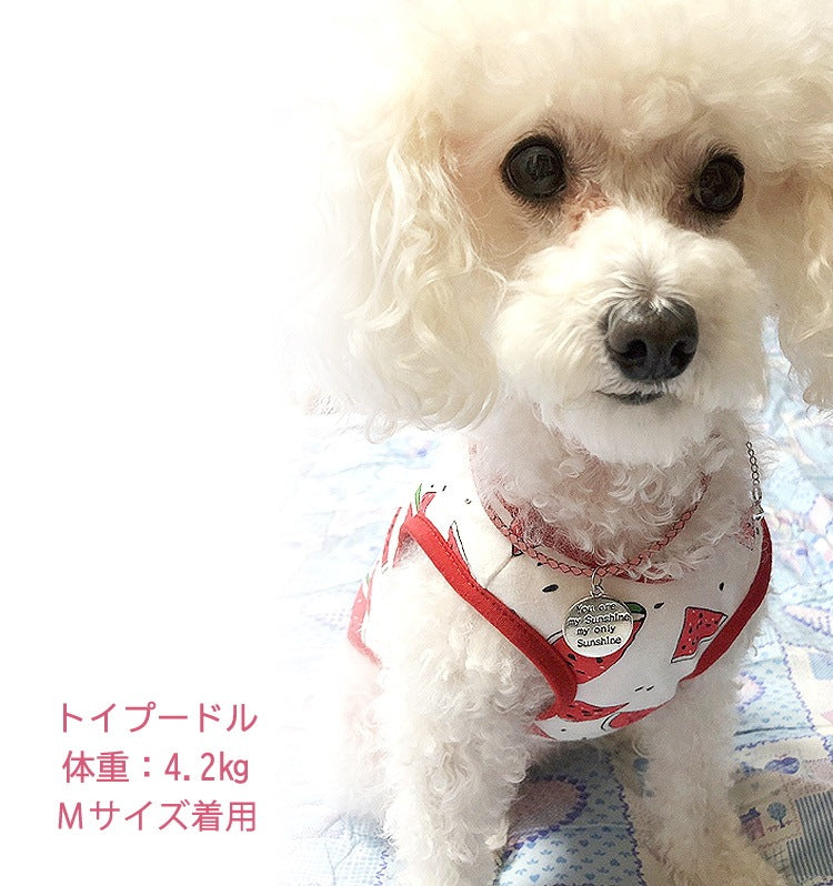 ハンドメイドオーダーメイド商品犬 首輪 おしゃれ 中型犬 小型犬 本革 かわいい 犬首輪 犬の首輪