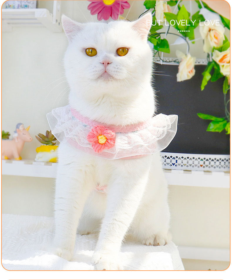 ペット用品 犬 軽量 ネコ用ハーネス 小型犬 胴輪 ハーネスリードセット 猫用 リーシュ ハーネス おしゃれ 中型犬 31 犬用ハーネス 犬用 ペットハーネス 簡単装着 2点セット お散歩 リード お