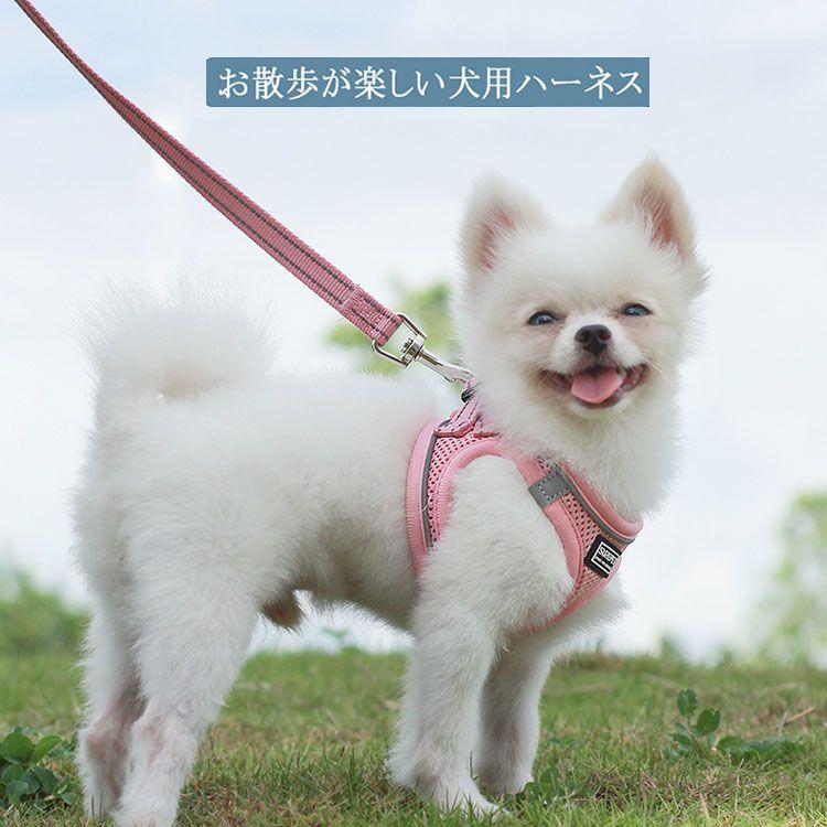 新商品プロモーション，数量限定 ペット用 犬用 ハーネスとリード２点セット 簡単着脱 マジックテープ式８種 全8種　犬用型ハーネス＆リード しつけ 歩行補助 リードコンペット用 犬用