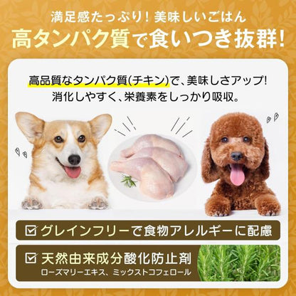 LOT PREMIER ロットプレミア チキン＆アガリクス 全犬種 高齢犬7才以上 小粒 500g ドッグフード