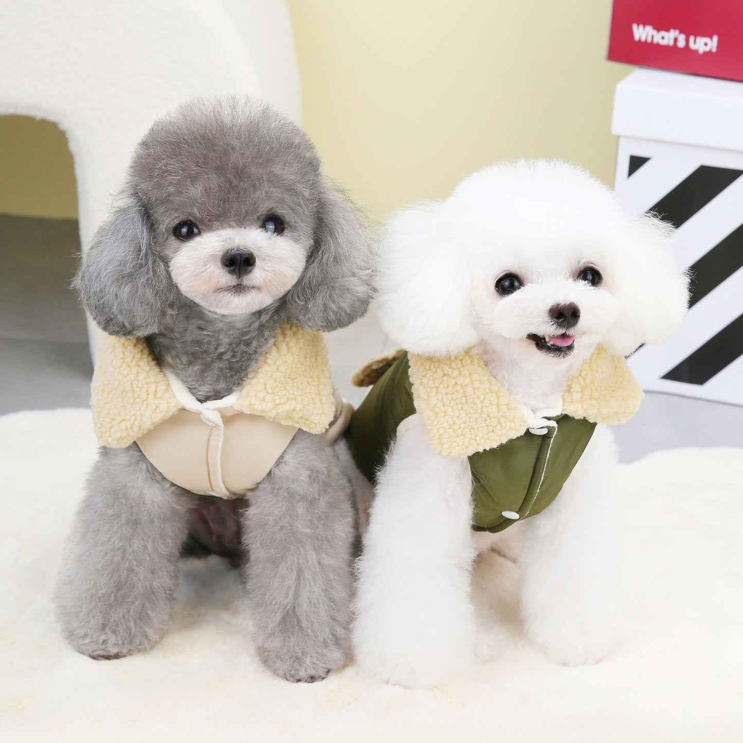 猫 犬 洋服 犬服 ペット服 大中小型犬 ペット用品 犬/猫用 犬の服 ペットウエア 小型犬 中型犬 通気 可愛い ドッグウェア トレーナー 犬 服 ワンピース サロペット ビションフリーゼ 犬猫服