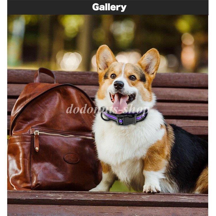 犬 首輪 首や喉に優しい ソフト 素材 ペット ドッグ ペットグッズ 太い 幅広 小型犬 中型犬 大型犬