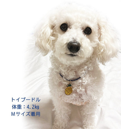オーダーメイド 首輪 犬 おしゃれ 中型犬 小型犬 本革 かわいい 犬首輪 犬の首輪　猫用首輪