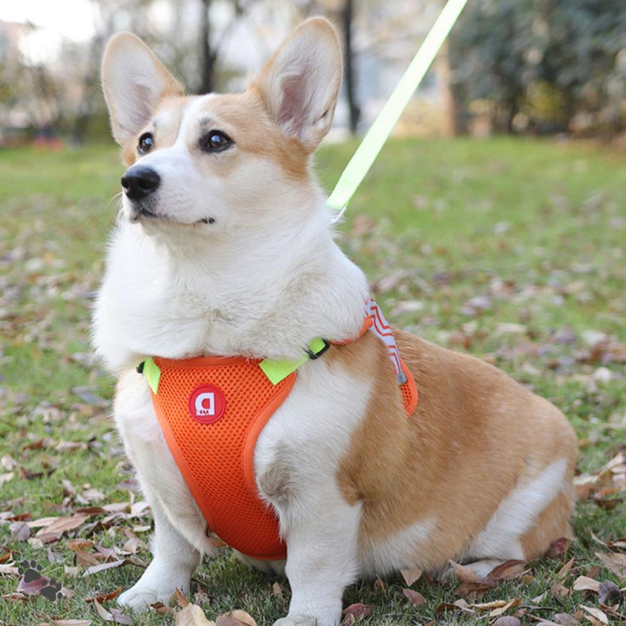 抜けにくい 中型犬 小型犬 ハーネス 犬用 大型犬 ネコポス M XL ステップハーネス 負担の少ない 犬 S 柴犬 L 介護用 抜けない ウェアハーネス