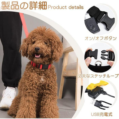 おしゃれ 犬用 大型犬 サイズ調節可能 夜 事故防止 小型犬 猫 明るい 光る USB充電式 送料無料 散歩 ペット用品 中型犬 首輪