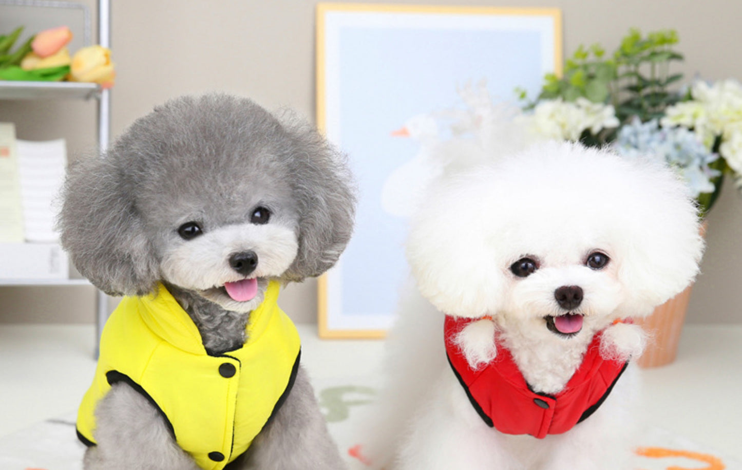 猫 犬 洋服 犬服 ペット服 大中小型犬 ペット用品 犬/猫用 犬の服 ペットウエア 小型犬 中型犬 通気 可愛い ドッグウェア トレーナー 犬 服 ワンピース サロペット ビションフリーゼ 犬猫服