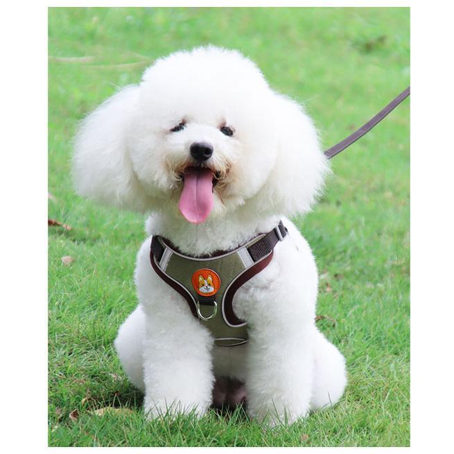中型犬 簡単装着 犬 犬の 胴輪 小型犬 かわいい 脱げない 犬用 おしゃれ 大型犬 リード ハーネス