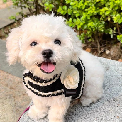 カメリア お散歩 ツイード かわいい リード ハーネス おしゃれ 犬 ペット