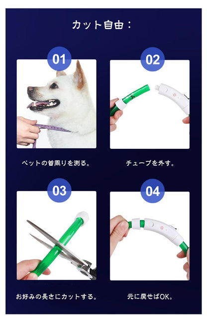 犬 光る首輪 首輪 光る 35cm 50cm 70cm カット自由 7色 小型犬 中型犬 大型犬 散歩 夜 LED ライト レインボー USB 充電式 ペット 猫 防水 事故防止 キラキラ 安全 犬の