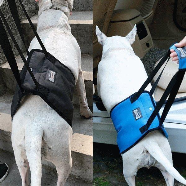 犬 介護 リフトハーネス 歩行補助 歩行サポート ベルト 老犬介護 シニア 老犬