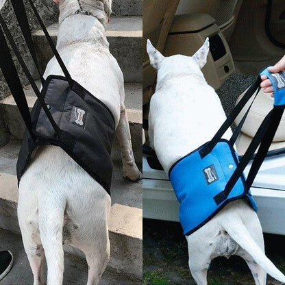 犬 介護 リフトハーネス 歩行補助 歩行サポート ベルト 老犬介護 シニア 老犬