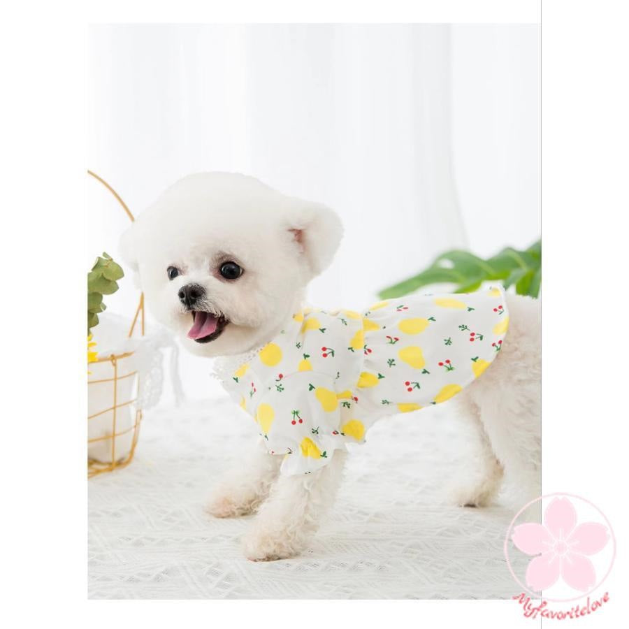 品質いいな新品 犬服 夏服 春夏 春 春服 夏 犬の服 ペット 猫 犬用品 犬用 ドッグウェア シャツ女の子可愛いかわいいオシャレ