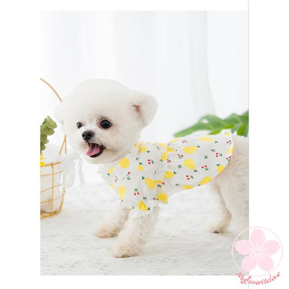 品質いいな新品 犬服 夏服 春夏 春 春服 夏 犬の服 ペット 猫 犬用品 犬用 ドッグウェア シャツ女の子可愛いかわいいオシャレ