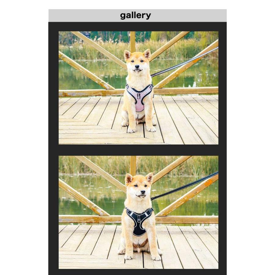 新商品プロモーション，数量限定 犬 猫 ハーネス リード付 特殊大型メッシュ ウェアハーネス ペット 服 胴輪 キャット ドッグ犬 猫