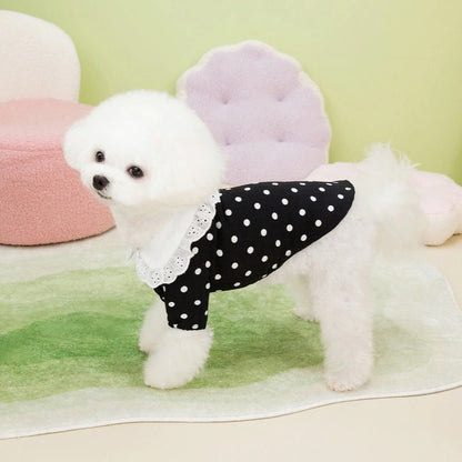 [犬 服]犬 洋服 ins人気商品 新作犬服春夏薄手Tシャツ小型犬ペットTシャツ二本足服
