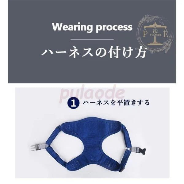 ハーネスリード リード ハーネス ２点セット 反射 胴輪 犬服 セットアップ 小型犬 ドッグウェア キャットウェア ベスト 猫服 シンプル ペット服