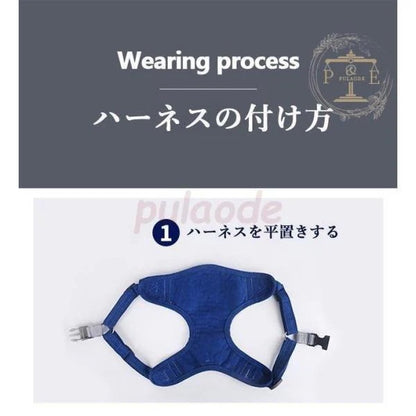 ハーネスリード リード ハーネス ２点セット 反射 胴輪 犬服 セットアップ 小型犬 ドッグウェア キャットウェア ベスト 猫服 シンプル ペット服
