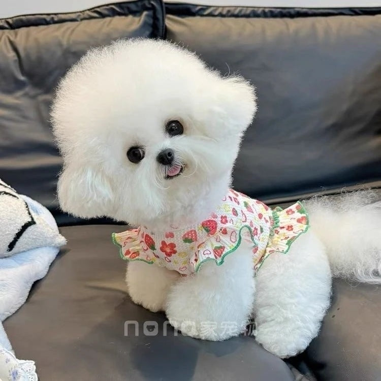 [犬 服]犬 洋服 ins人気商品 ペット猫外出サンウェア犬服春夏新作スカート