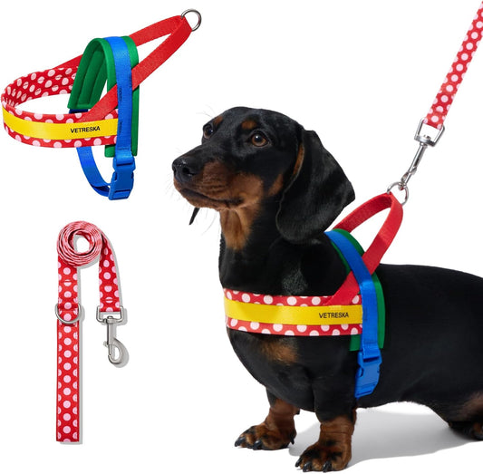 ベトレスカ ハーネス CHROMA ハーネスリード リュックセット 可愛い 犬用散歩 トレーニング用 調節可能 咳き込み軽減 簡単なコントロール 抜けない 通気性 簡単着脱 おしゃれ 柔らかなパッド