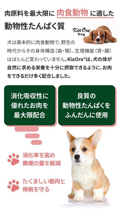 <a href="https://www.qoo10.jp/gmkt.inc/Search/brand.aspx?brandno=110758" target="_blank" class="title_brand" id="btn_brand" title="KiaOra">KiaOra</a>ドッグフード ラム&サーモン 2.7kg【国産たじま鶏ジャーキー(小サイズ)付き】