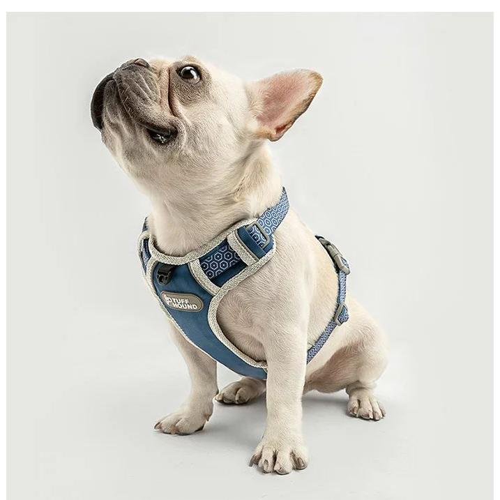 新商品プロモーション，数量限定 犬 ハーネス ペット 胴輪 ふっくら生地 服 キャット ドッグ メッシュ ドッグウェア 小型犬 中型犬犬 ハーネス