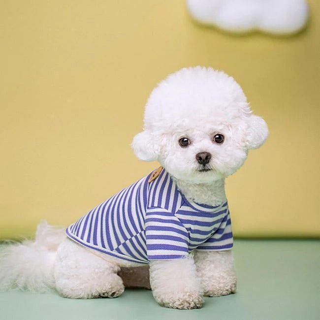 ペット服 Tシャツ 犬用 半袖 クマ ストライプ柄 配色 軽量 通気性 柔らかい 可愛い 新品 大人気 着せやすい 抜け毛対策 汚れ防止 冷え対策 春夏