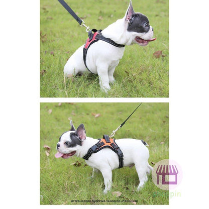 牽引ロープ リードセット 犬 猫 ハーネス 胴輪/胸あて式 お散歩グッズ ペット牽引縄 ドッグリード 小型犬 中型犬 引っ張り防止 ペット用品