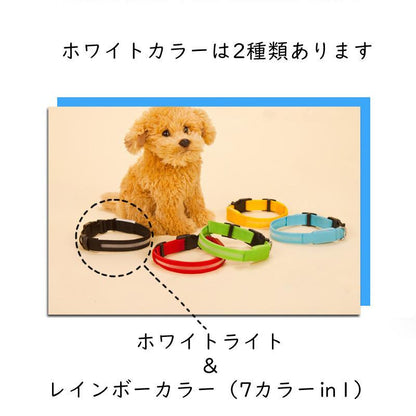 犬 首輪 光る LED キラキラ 光るバンド S/M/L 首バンド 夜間 散歩 夜 ペット リード ジョギング ウォーキング きらきらバンド 安全ライト 防止 点滅 ライト ins